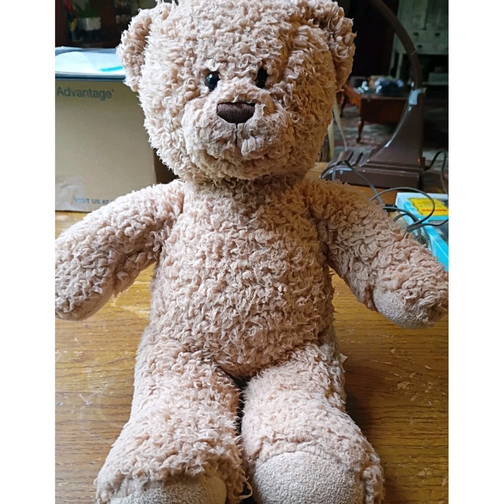 Build-A-Bear Workshop‎ Timeless Teddy